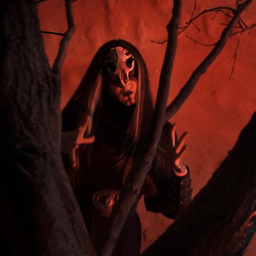 Withered Land podpisala za Immortal Frost Productions