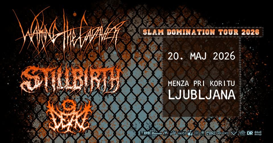 Konec maja bo v Menzi pri Koritu Slam Domination Tour