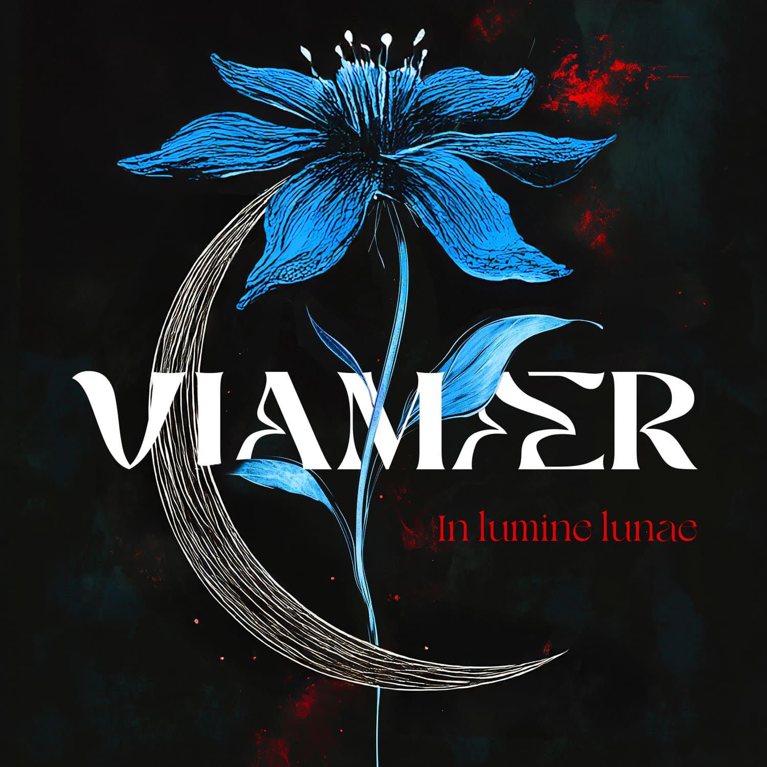 Predstavlja se projekt Viamaer
