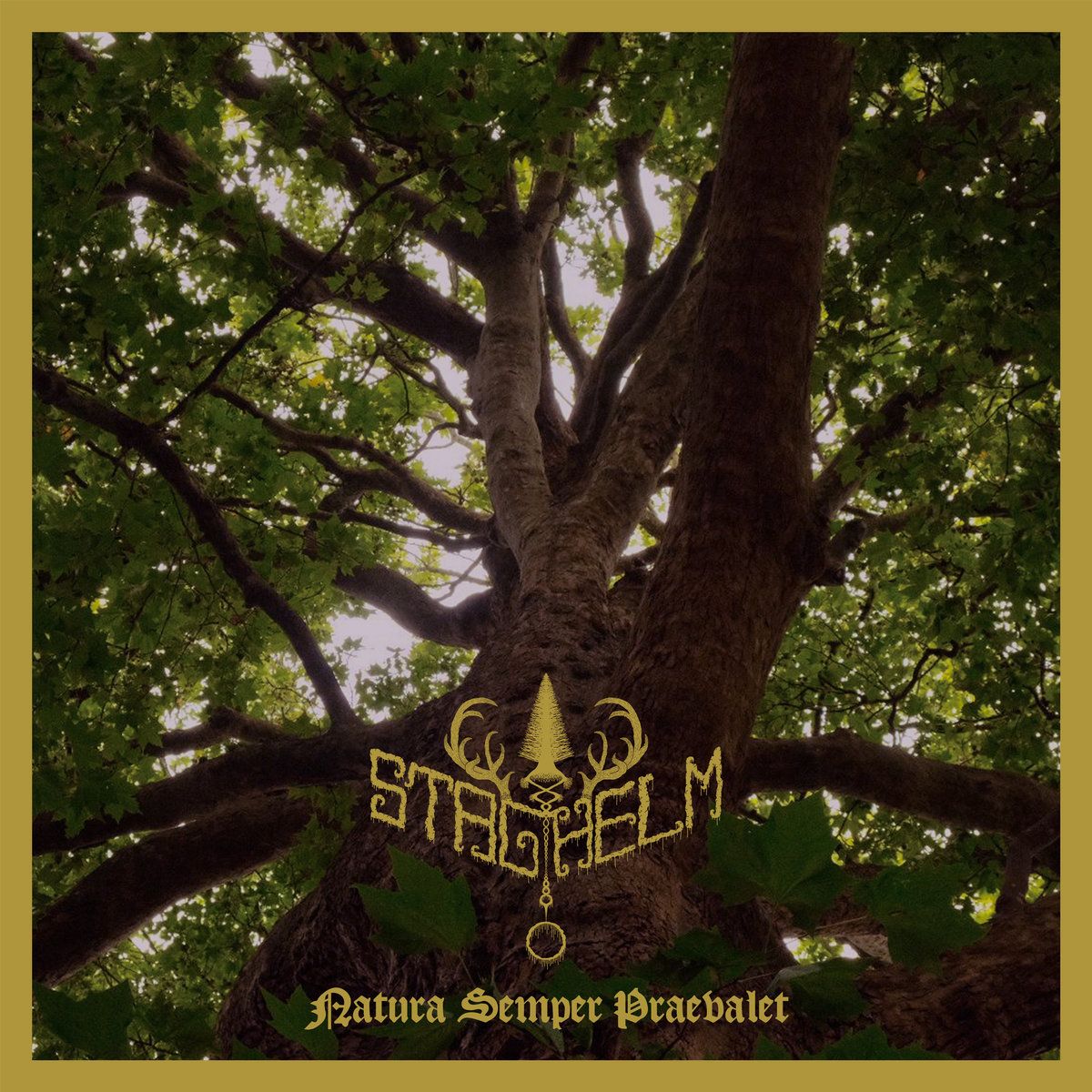 Staghelm podpisali z Naturmacht Productions