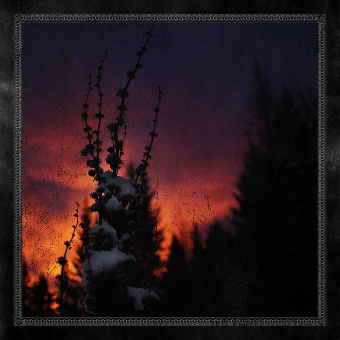 Nocturnal Womb (EP)