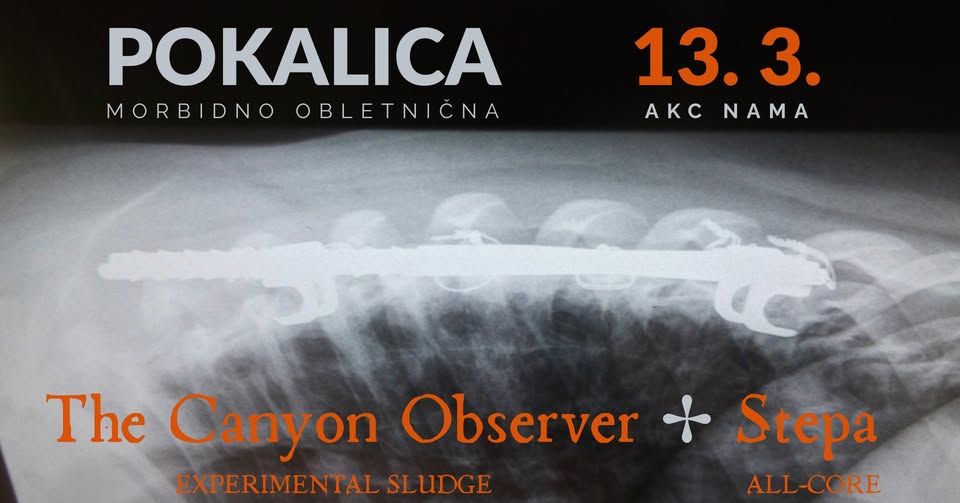 Pokalica: The Canyon Observer, Stepa