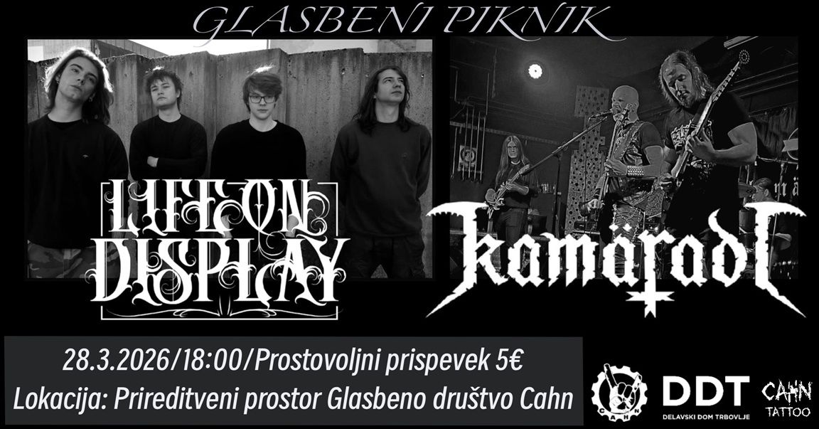 Glasbeni piknik s Kamäradi in Life On Display
