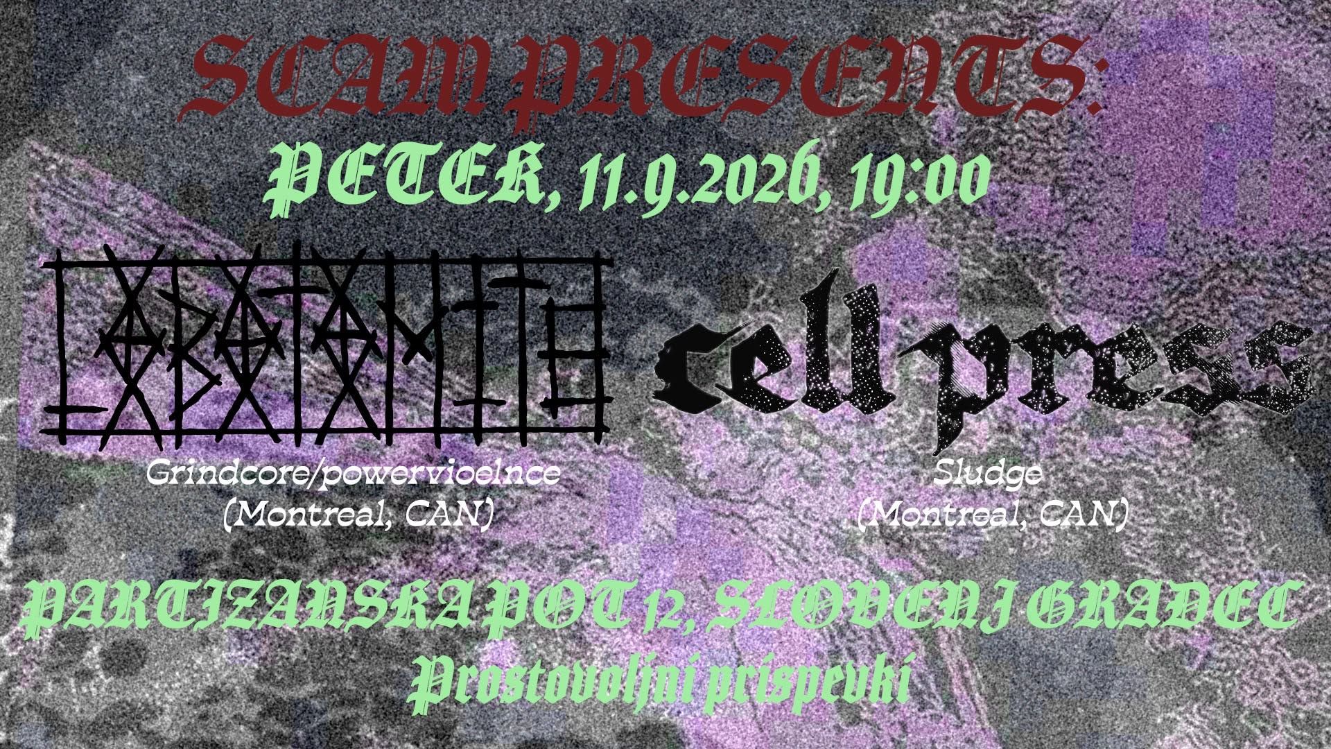 Lobotomite, Cellpress