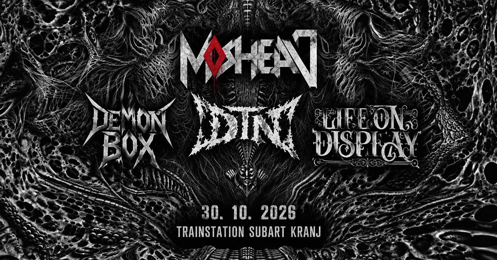 Moshead, DTN, Demonbox, Life on Display