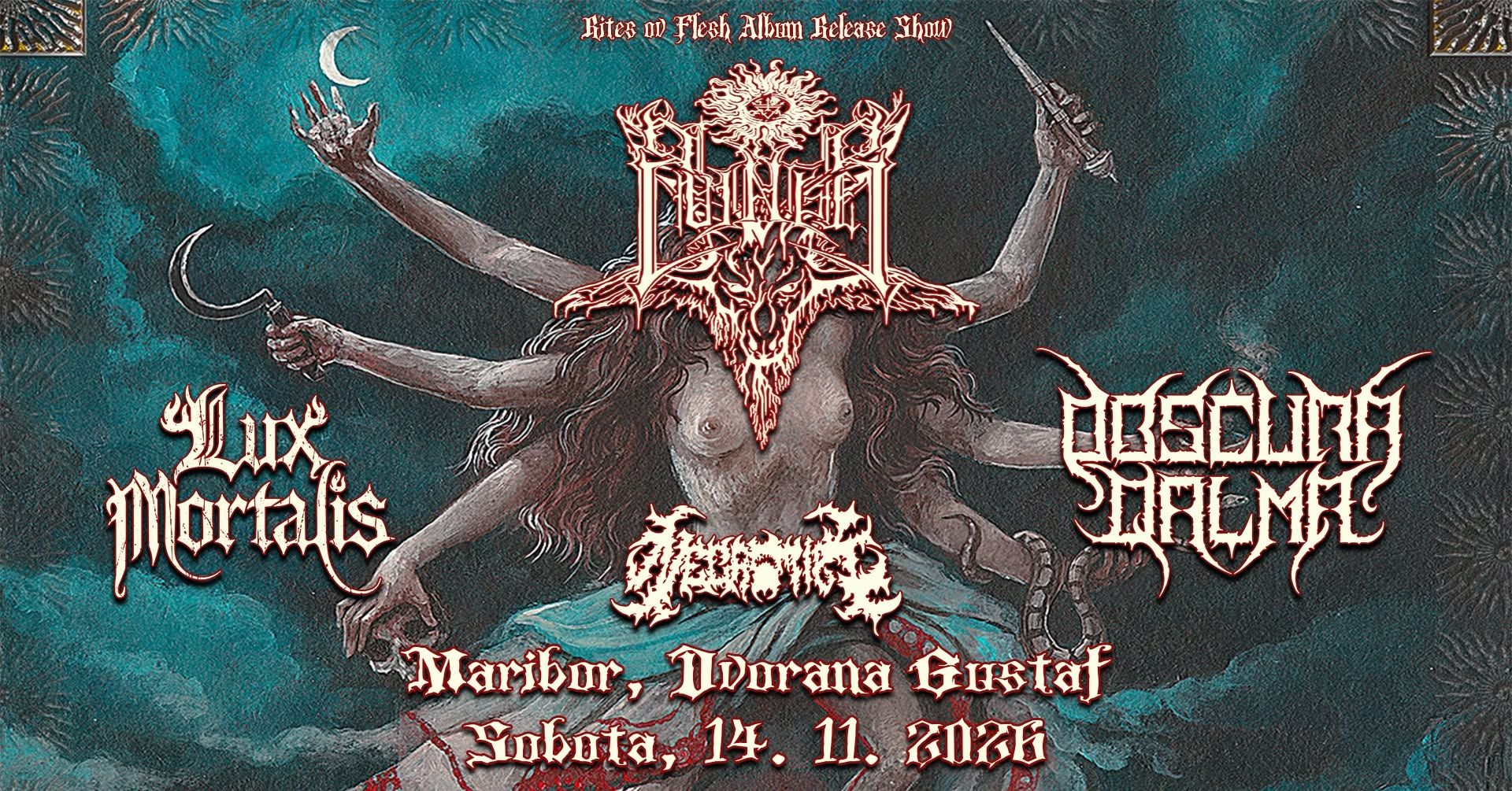Cvinger, Obscura Qalma, Lux Moralis, Necrotize